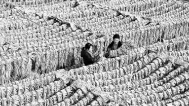 甘肅持續放大政府基金撬動效應